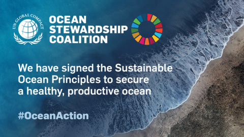 Ocean Principles Signatory