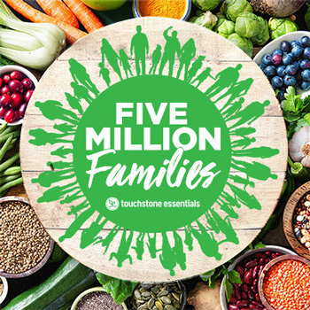 Touchstone Essentials