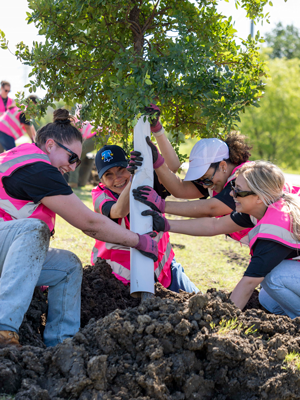 Mary Kay Tree Planting